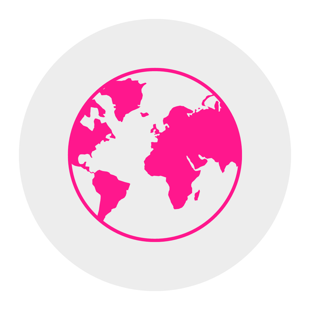 Globe icon